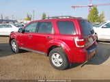 Ford Escape Xlt 1FMCU93178KB64920 снимка