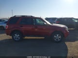 Ford Escape Xlt 1FMCU9DG9BKA95092 fotografie