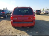 Ford Escape Xlt 1FMCU9DG9BKA95092 photo