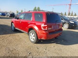 Ford Escape Xlt 1FMCU9DG9BKA95092 photo