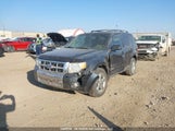 Ford Escape Limited 1FMCU94198KD97888 снимка