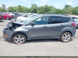 Ford Escape S 1FMCU0F70EUC62733 fotografie