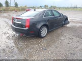 Cadillac Cts Premium Collection 1G6DS5EDXB0102741 снимка