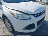 Ford Escape Se 1FMCU9G90EUB86998 снимка