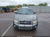 Ford Escape Xlt 1FMCU93G39KD03043 снимка