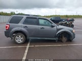 Ford Escape Xlt 1FMCU93G39KD03043 снимка