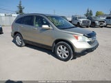 Honda Cr-V Exl 5J6RE487X8L816915 photo