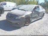 Toyota Corolla 2T1BU4EE6AC335084 снимка