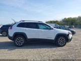 Jeep Cherokee Trailhawk 1C4PJMBX1LD570129 снимка