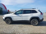 Jeep Cherokee Trailhawk 1C4PJMBX1LD570129 снимка