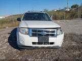 Ford Escape Xlt 1FMCU0D73BKC19854 fotografie