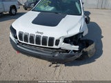 Jeep Cherokee Trailhawk 1C4PJMBX7LD567462 снимка