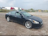 Nissan Maxima S/Sv 1N4AA5AP8BC801552 fotografie