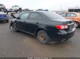 Toyota Corolla S/Le 2T1BU4EE8BC596752 fotografie