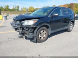 Honda Cr-V Lx 2HKRM4H36EH117058 снимка