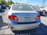Toyota Corolla Le 2T1BU4EE7AC359409 fotografie
