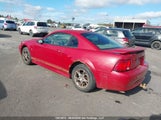 Ford Mustang 1FAFP404X2F184353 fotografie