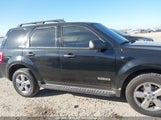 Ford Escape Xlt 1FMCU93198KC41187 снимка