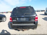 Ford Escape Xlt 1FMCU93198KC41187 снимка