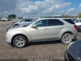 Chevrolet Equinox 2GNALDEK3C6256083 fotografie