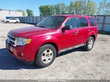 Ford Escape Xlt 1FMCU0D74BKB42539 снимка