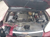 Chevrolet Malibu Lt 1G1ZT51826F216074 снимка