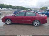 Chevrolet Malibu Lt 1G1ZT51826F216074 photo