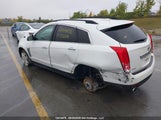 Cadillac Srx 3GYFNAE31FS531109 снимка