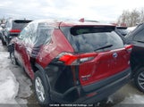 Toyota Rav4 Xle 2T3RWRFV9MW125528 photo