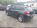 Subaru Xv Crosstrek 2.0 Limited JF2GPAKC9E8276498 photo