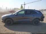 Ford Escape Se 1FMCU9G60MUA87702 снимка