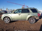 Ford Escape Xlt 1FMCU93138KA58352 снимка