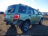 Ford Escape Xlt 1FMCU93138KA58352 снимка