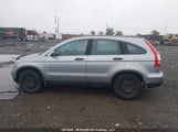 Honda Cr-V Lx 5J6RE38317L801483 photo