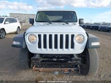 Jeep Wrangler Sport 1C4GJXAG0KW590751 fotografie