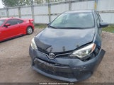 Toyota Corolla L/Le/Le Pls/Prm/S/S Pls 2T1BURHE9GC524572 снимка