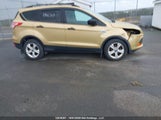 Ford Escape S 1FMCU0F73FUB14691 fotografie