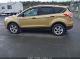 Ford Escape S 1FMCU0F73FUB14691 снимка