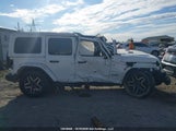 Jeep Wrangler Sahara 1C4PJXEN2RW165681 photo