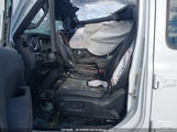 Jeep Wrangler Sahara 1C4PJXEN2RW165681 fotografie
