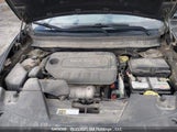 Jeep Cherokee 1C4PJMCB9FW626247 снимка
