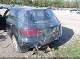 Acura Rdx 5J8TB1H52AA801149 снимка