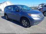 Honda Cr-V Lx 2HKRM4H36DH109816 снимка