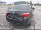 Toyota Corolla Le 2T1BURHE5FC398743 fotografie
