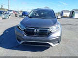 Honda Cr-V Lx 2HKRW2H2XLH221197 photo