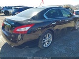 Nissan Maxima S/Sv 1N4AA5AP0BC860093 снимка