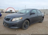Toyota Corolla S/Le/Xle 2T1BU4EEXAC206586 снимка