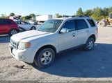Ford Escape Xlt 1FMCU0D77CKC71750 photo