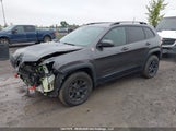 Jeep Cherokee Trailhawk 1C4PJMBX5LD574779 снимка
