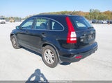 Honda Cr-V 5J6RE38338L800949 снимка
